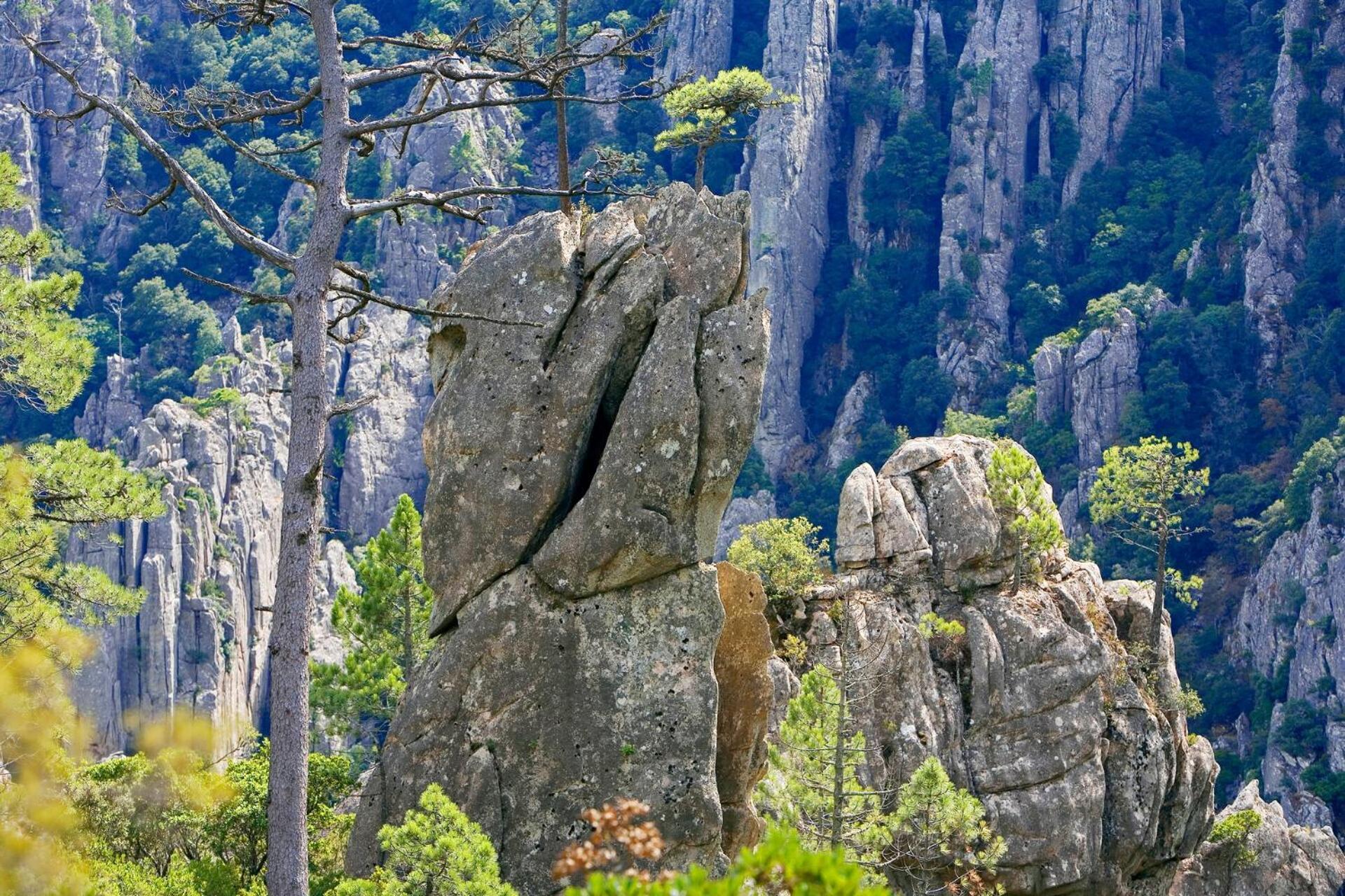 Отель Domaine Le Mouflon D'Or Дзондза Экстерьер фото